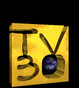 steve.gif (118365 bytes)